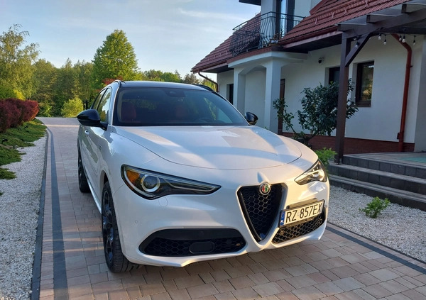 Alfa Romeo Stelvio cena 189000 przebieg: 11000, rok produkcji 2023 z Rzeszów małe 667